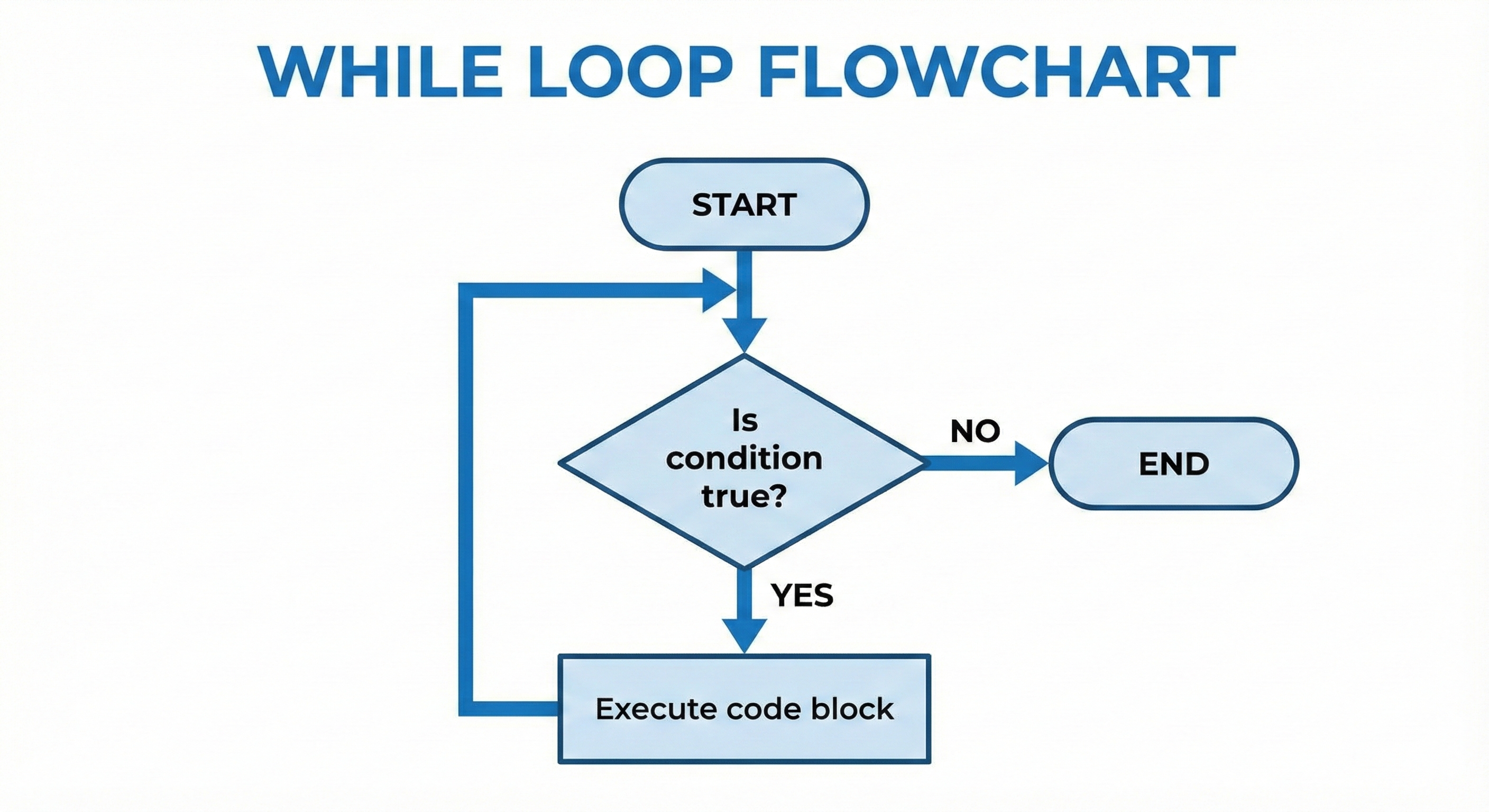 while loop